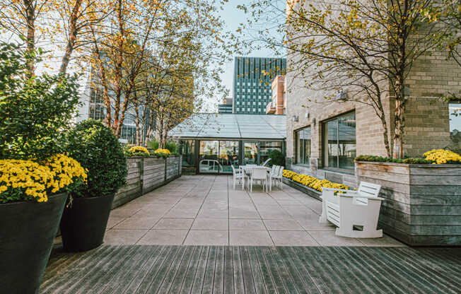 Landscaped Rooftop Deck