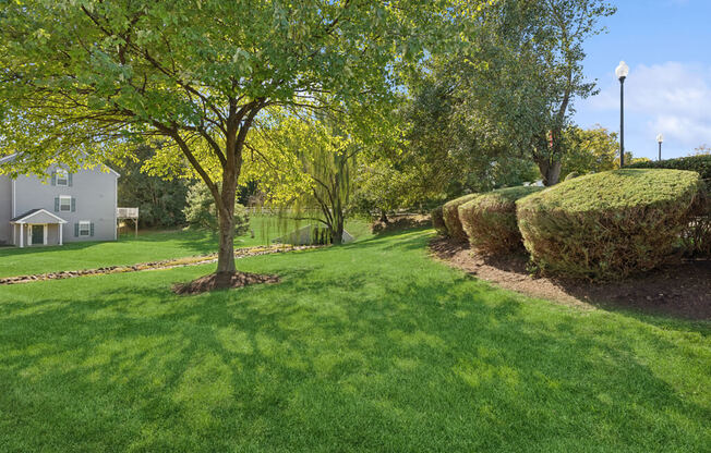 a yard with grass and trees and a house in the background