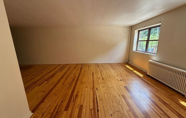 Studio, 1 bath, 487 sqft, $1,250, Unit Fifth 206