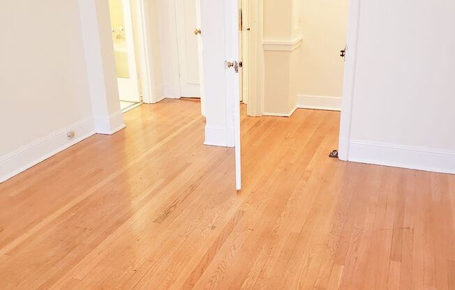 Studio, 1 bath, 365 sqft, $1,195, Unit 204