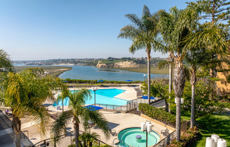 an aerial view of a swimming pool with palm trees and a river in the background