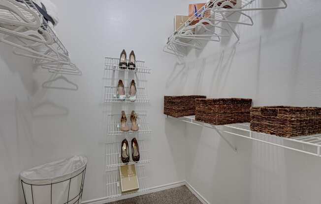 Large Closet at The Brazos, Texas