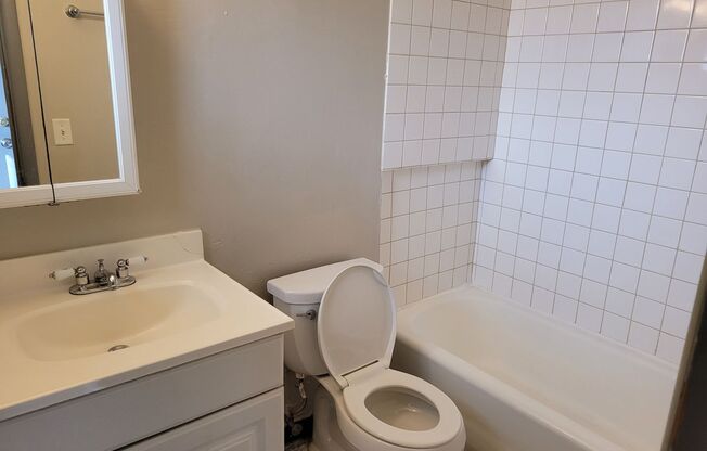 Studio, 1 bath, $795, Unit 110