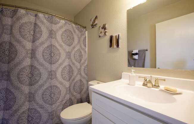 Bathroom Vanity at The Bluffs at Tierra Contenta Apartments