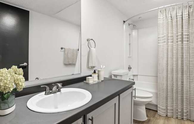 a bathroom with a sink and a toilet