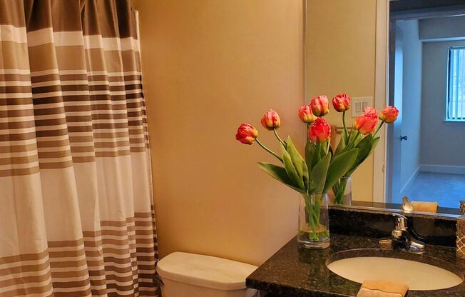 1 bed, 1 bath, 745 sqft, $1,750, Unit 14233 #101