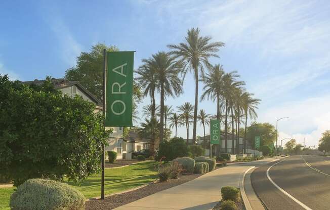 a street with palm trees and signs on the side of a road