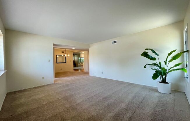Gorgeous 4 Bedroom 2 Bathroom Home in Bonita!