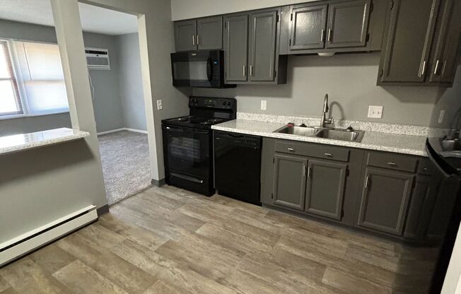 Newly Remodeled 2 Bedroom with Great Location in Ankeny!