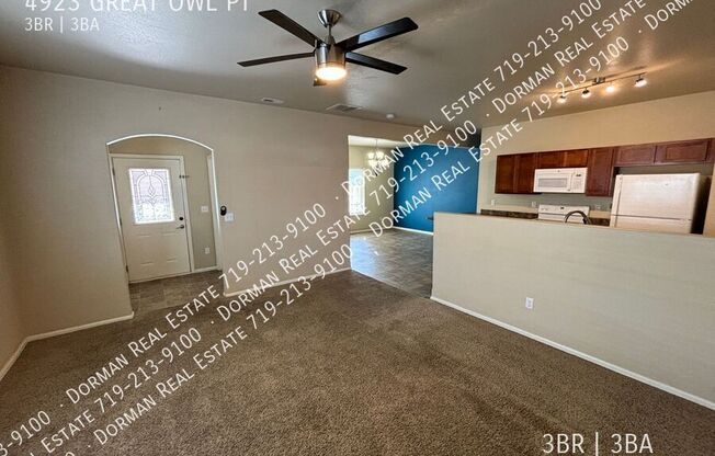 4923 GREAT OWL PT