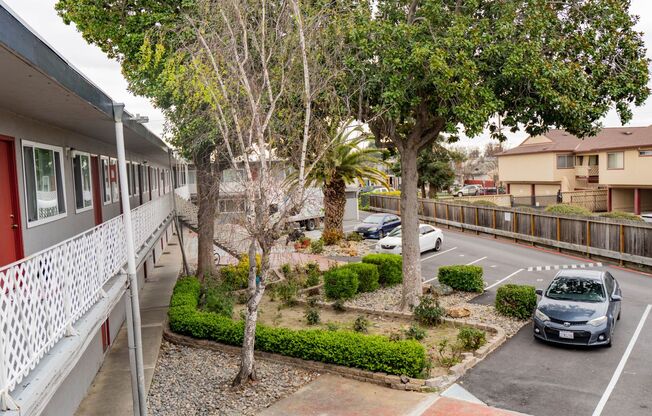 1545/57 Montair Apartments