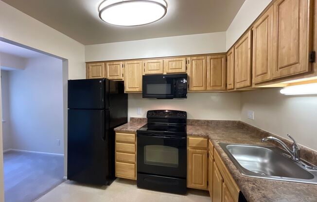 1 bed, 1 bath, 745 sqft, $1,750, Unit 14202 #204