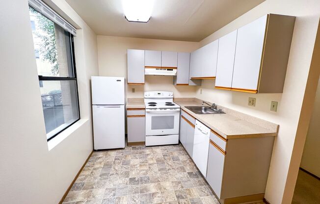 1 bed, 1 bath, 586 sqft, $1,495, Unit 216