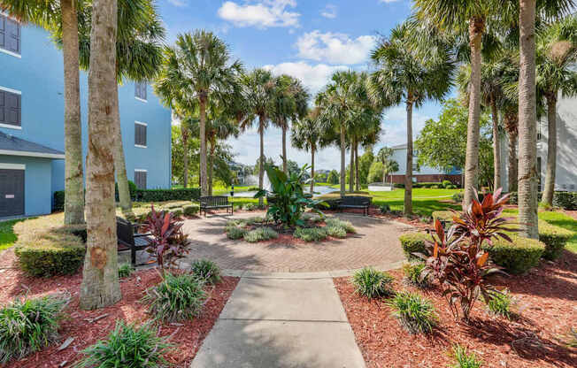 A walkway leads through a landscaped area with palm trees and shrubs at Wynnfield Lakes Apartments in Jacksonville, FL
