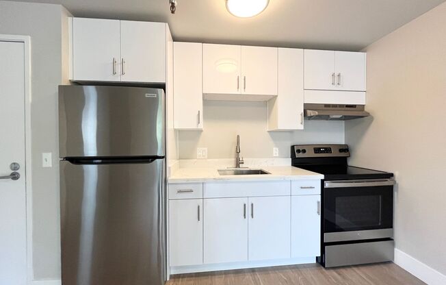 1 bed, 1 bath, 480 sqft, $1,495, Unit 201