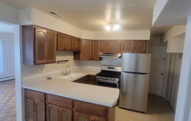 1 bed, 1 bath, $1,100, Unit 7345-47 South Kedzie Avenue - 1E