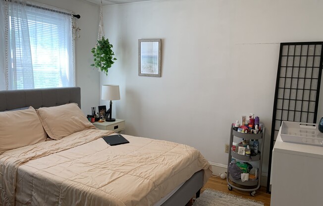 54 Brock St Apt 1