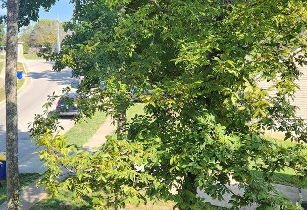 Studio, 1 bath, 600 sqft, $615, Unit 128-09