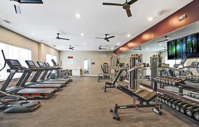 A gym with treadmills, weights, and exercise equipment.