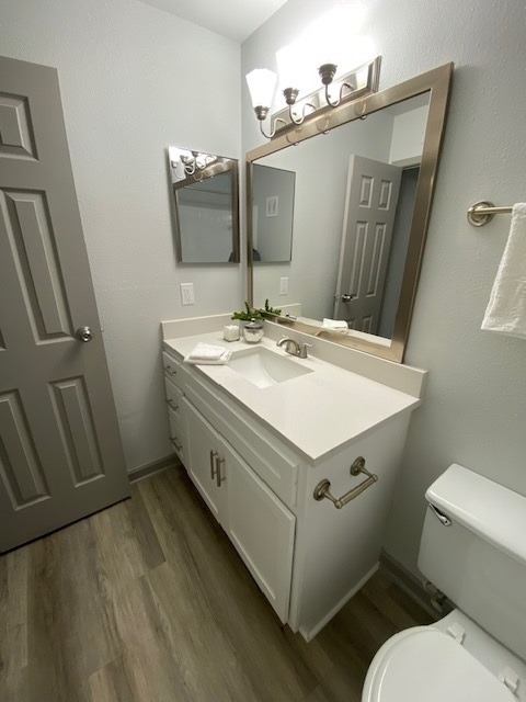 Beautiful Vanity & Bathroom at Trailpoint at the Woodlands