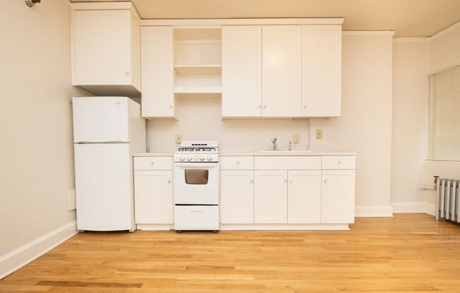 Studio, 1 bath, 370 sqft, $1,100, Unit 102