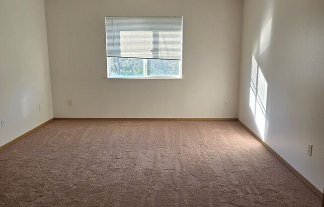 2 beds, 1 bath, 1,010 sqft, $1,279, Unit PL   2205