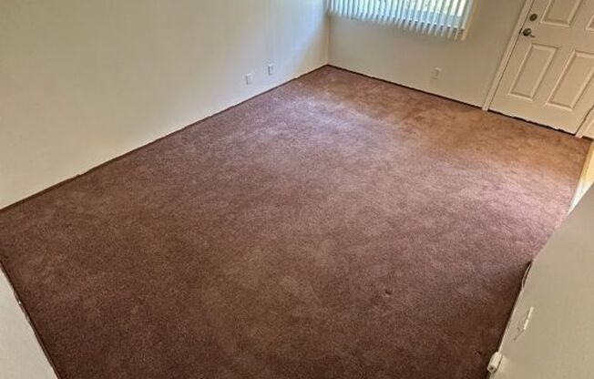 Soto 24409/APTS