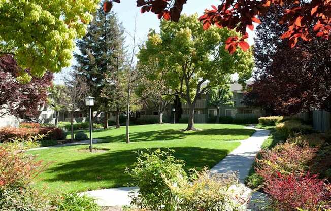 A tree-lined pathway in a park.