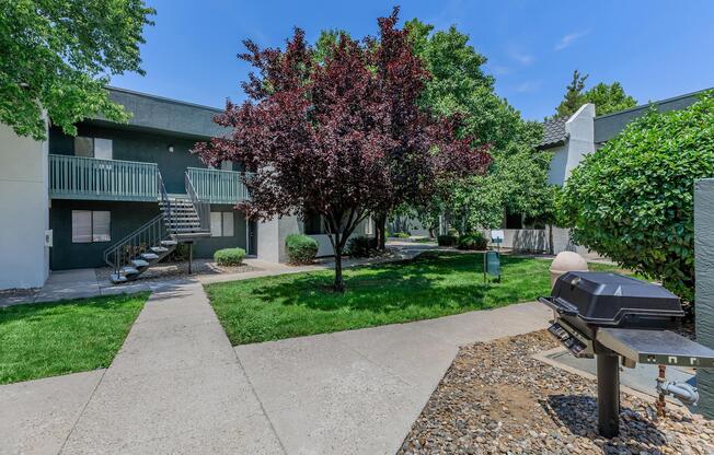 Outdoor grilling station with covered BBQ at Treehouse Apartments in Albuquerque, New Mexico