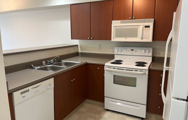 Studio, 1 bath, $1,495, Unit 305