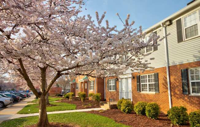 Kingsley Commons Townhouses Property