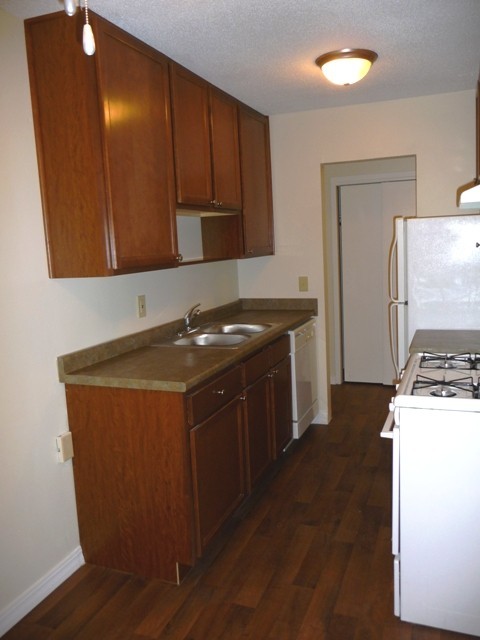 1 bed, 1 bath, 650 sqft, $1,295, Unit 3029305