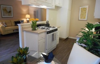 Palm Central South Apartments