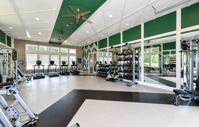 Modern Fitness Center at Carmel Vista, McDonough