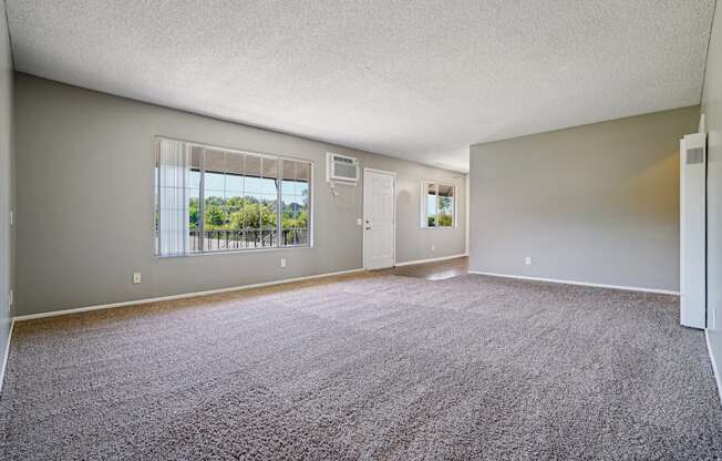 an empty living room with carpet and a window