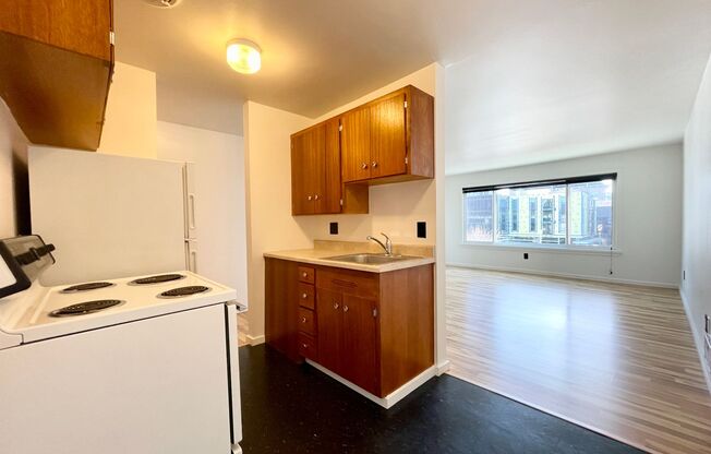 Studio, 1 bath, 464 sqft, $1,475, Unit 402