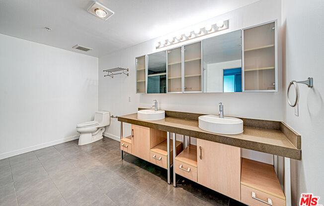 1 bed, 2 baths, 1,130 sqft, $2,700, Unit 313