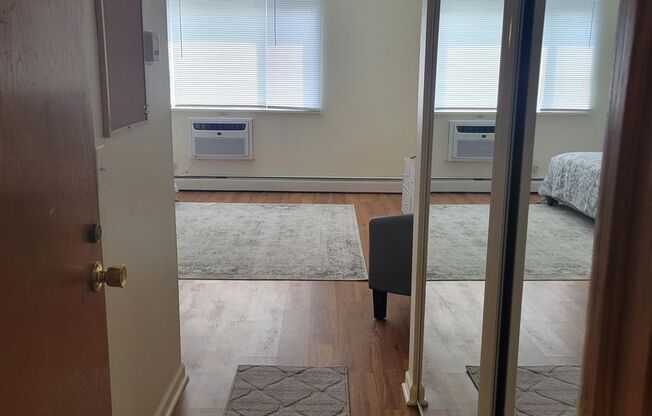 Studio, 1 bath, $980, Unit 203