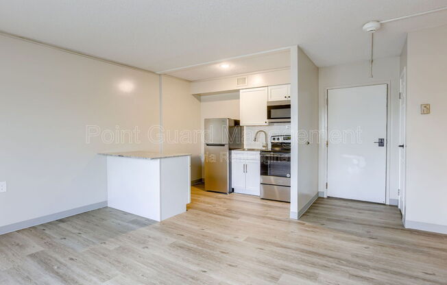 Studio, 1 bath, 329 sqft, $695, Unit 529