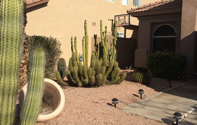 Beautiful 3 bedroom 2 bath North Phoenix home Under market rate! Available after June 1st!