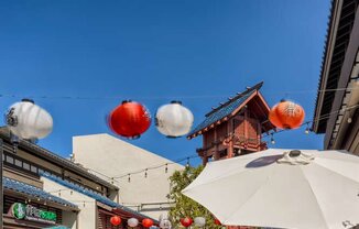 Mikado Little Tokyo