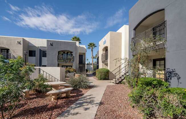 A sunny day at the courtyard of a modern building with a bench and plants.