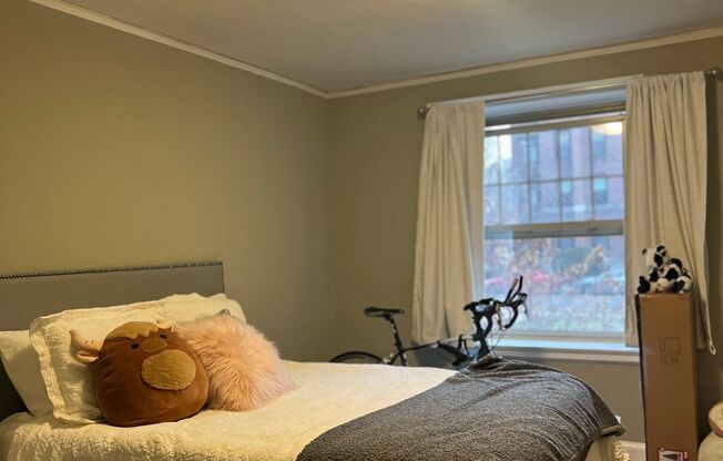 1 bed, 1 bath, 800 sqft, $1,385, Unit Apt. 3G