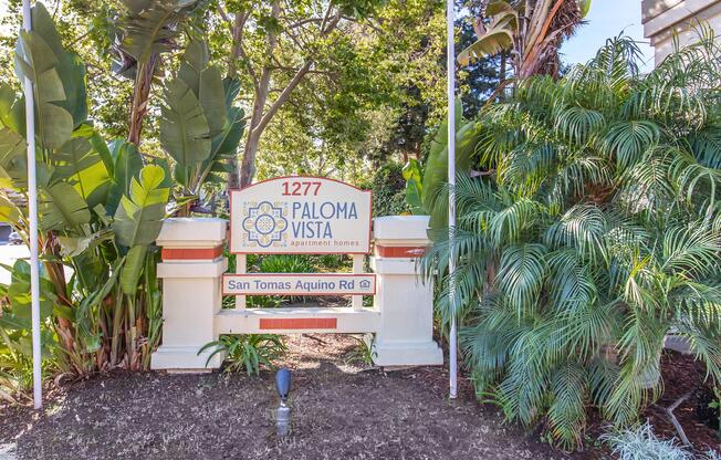 Sign for "Paloma Vista Apartment Homes" located at 1277 San Tomas Aquino Rd, surrounded by lush greenery and tropical plants. The sign features decorative elements, with the name prominently displayed at the top.