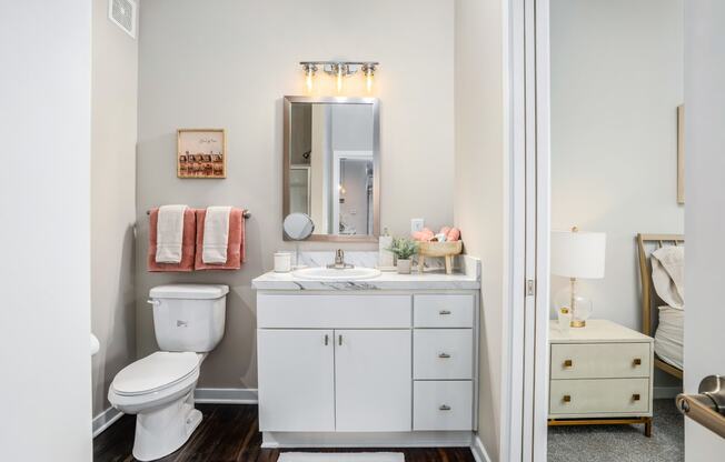 a bathroom with a toilet and a sink and a mirror