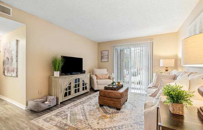 A living room with a television, couches, and a rug.