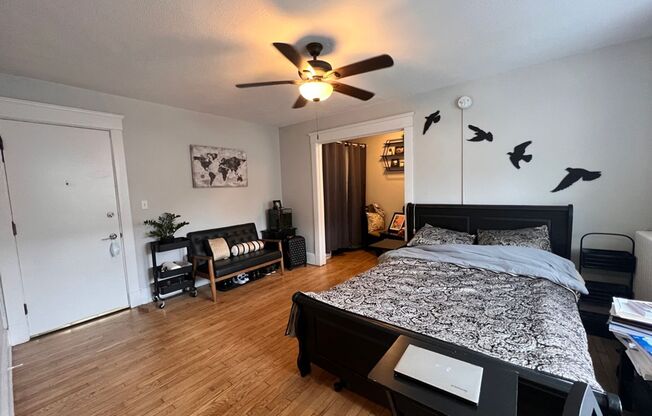 Studio, 1 bath, 300 sqft, $1,495, Unit Unit 211