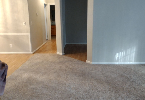 24146 CHICKASAW TRL