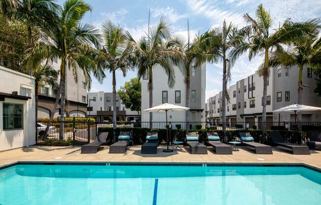 A swimming pool surrounded by palm trees and lounge chairs.