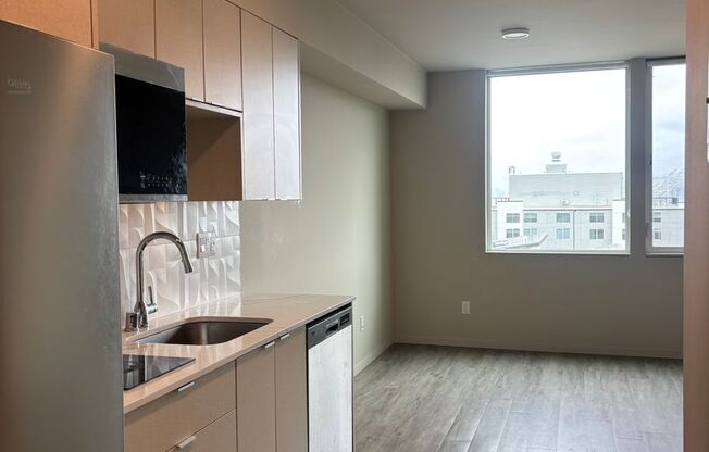 Studio, 1 bath, 318 sqft, $1,495, Unit 703